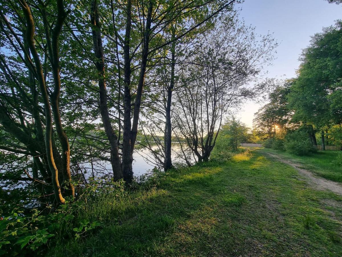 ホテル La Tiny Proche Lac Et Foret Sillé-le-Guillaume エクステリア 写真