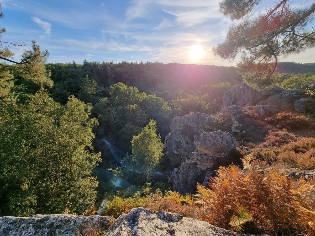 ホテル La Tiny Proche Lac Et Foret Sillé-le-Guillaume エクステリア 写真